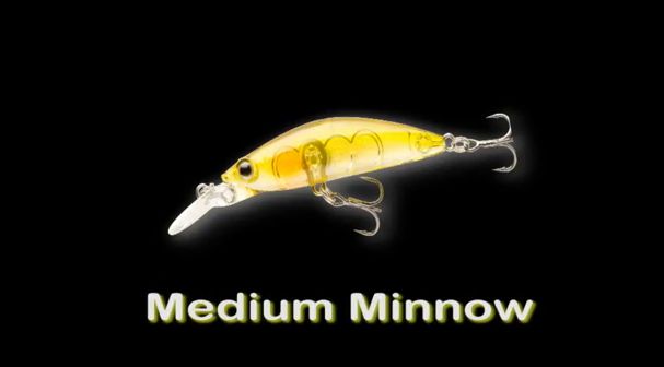 TESTED: Shimano Lure Project – Medium Minnow